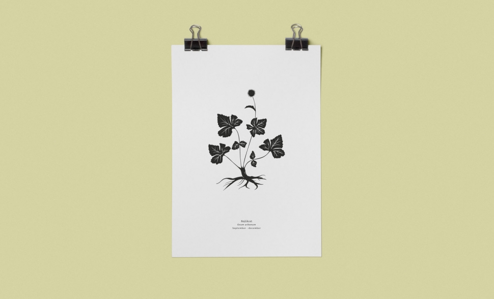 Illustration av Emilia Blom